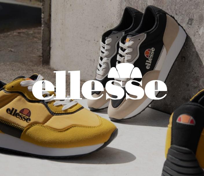Collection Skechers