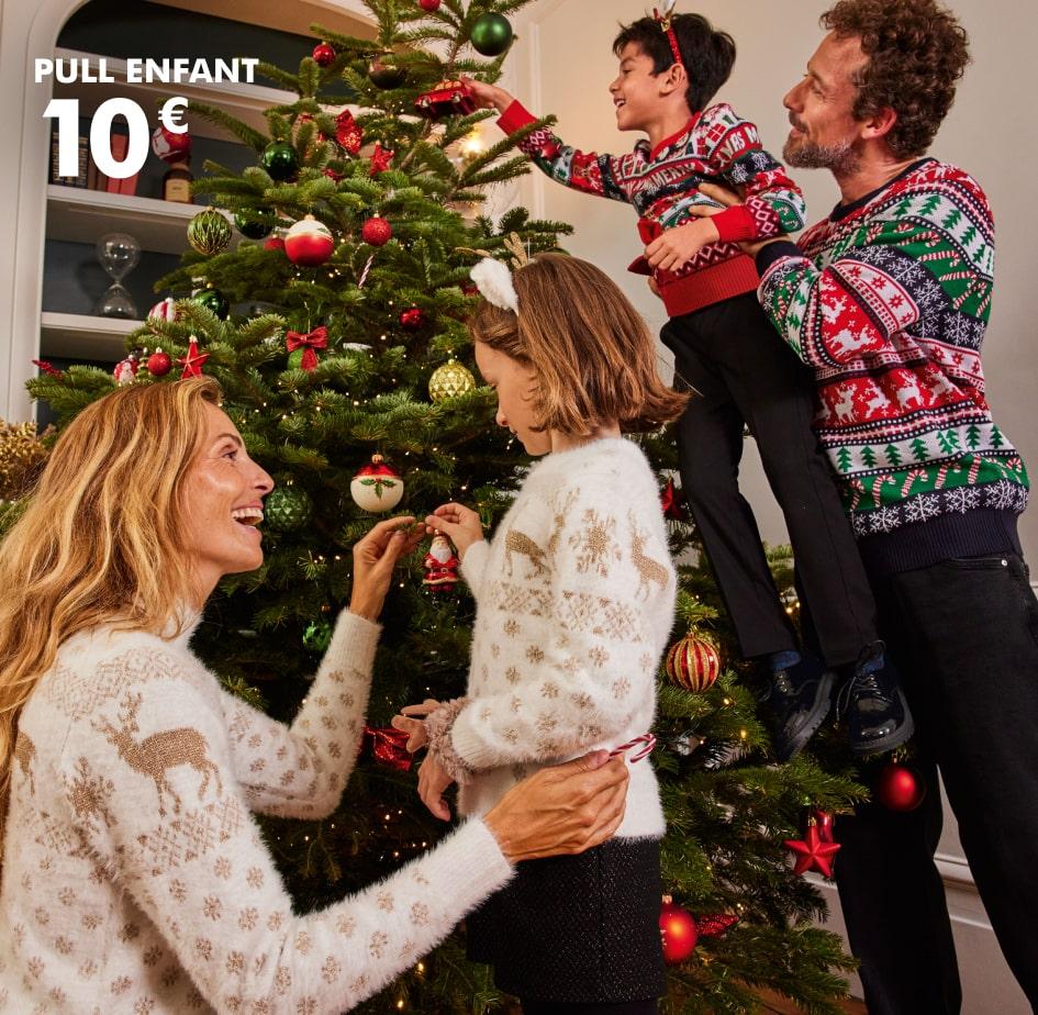 Pulls de noël