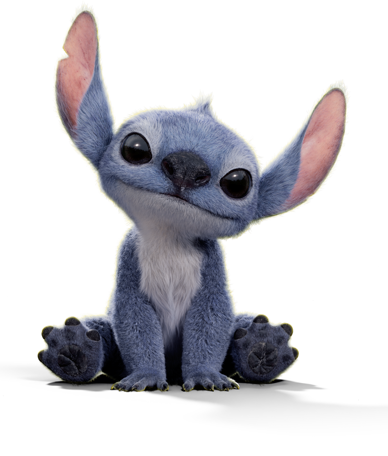 Stitch