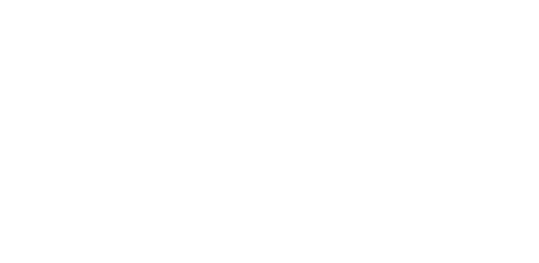 Logo gamme plus +