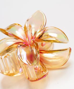 Pince crabe pour les cheveux translucide en forme de fleur femme vue2 - GEMO (ACCESS) - GEMO