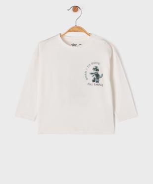 Tee-shirt manches longues imprimé devant et dos bébé garçon vue1 - GEMO 4G BEBE - GEMO