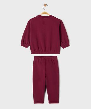 Ensemble 2 pièces sweat + jogging bébé garçon - LuluCastagnette vue4 - LULUCASTAGNETTE - GEMO