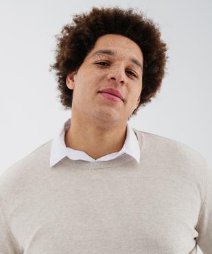 Pull en coton en maille fine à col rond homme  vue6 - GEMO (HOMME) - GEMO