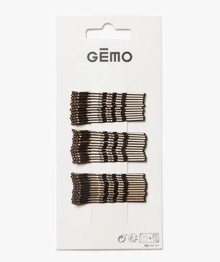 Pinces à cheveux plates (lot de 36) vue1 - GEMO (ACCESS) - GEMO