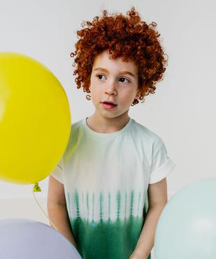 Tee-shirt manches courtes bicolore garçon vue1 - GEMO (ENFANT) - GEMO