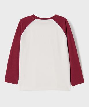 Tee-shirt manches longues raglan en jersey de coton imprimé garçon - LuluCastagnette vue3 - LULU CASTAGNETTE G4G D - GEMO