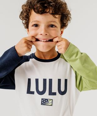 Tee-shirt manches longues raglan dépareillées garçon vue1 - LULUCASTAGNETTE - GEMO