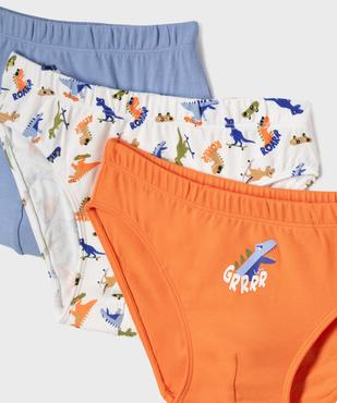 Slips en coton biologique motifs dinosaures garçon (lot de 3) vue2 - GEMO 4G GARCON - GEMO