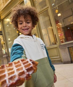 Sweat à capuche tricolore garçon vue1 - GEMO 4G GARCON - GEMO