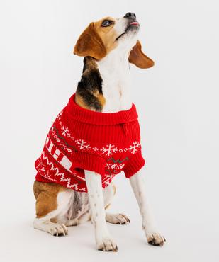 Pull de Noël pour chien vue2 - GEMO (ACCESS) - GEMO