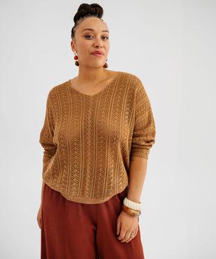 Pull ajouré en maille scintillante femme grande taille vue1 - GEMO (G TAILLE) - GEMO