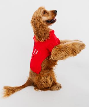 Pull en tricot pour chien vue3 - GEMO (ACCESS) - GEMO