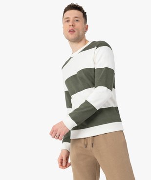 Sweat homme bicolore à rayures  vue1 - GEMO (HOMME) - GEMO