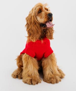 Pull en tricot pour chien vue4 - GEMO (ACCESS) - GEMO