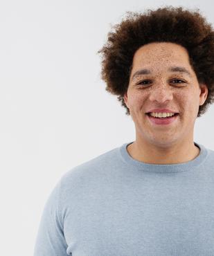 Pull en coton en maille fine à col rond homme  vue7 - GEMO (HOMME) - GEMO