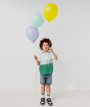 Tee-shirt manches courtes bicolore garçon vue6 - GEMO (ENFANT) - GEMO