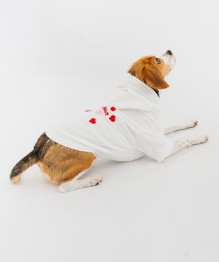 Sweat à capuche pour chien vue3 - GEMO (ACCESS) - GEMO