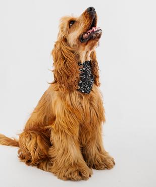 Bandana ajustable pour chien vue1 - GEMO (ACCESS) - GEMO