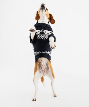 Pull de Noël pour chien vue4 - GEMO (ACCESS) - GEMO