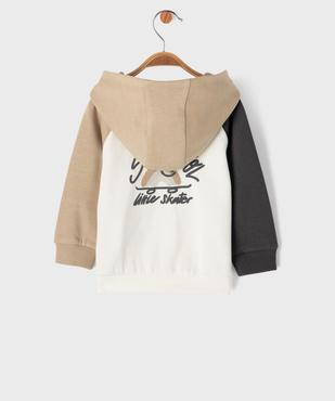 Sweat à capuche tricolore inscription skate bébé garçon vue5 - GEMO 4G BEBE - GEMO