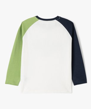 Tee-shirt manches longues raglan dépareillées garçon vue4 - LULUCASTAGNETTE - GEMO