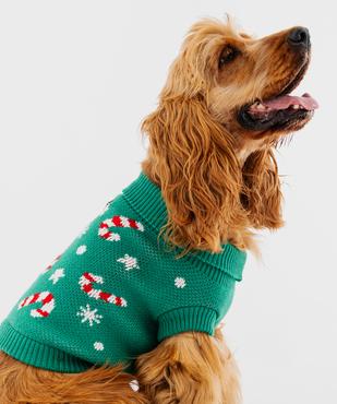 Pull tricot Noël pour chien vue1 - GEMO (ACCESS) - GEMO