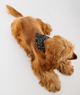 Bandana ajustable pour chien vue4 - GEMO (ACCESS) - GEMO