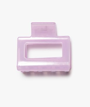 Pince cheveux femme en plastique translucide vue1 - GEMO (ACCESS) - GEMO