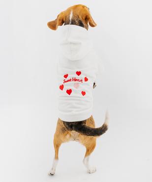 Sweat à capuche pour chien vue1 - GEMO (ACCESS) - GEMO