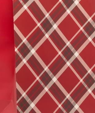 Pochette cadeau à motif écossais vue2 - GEMO (ACCESS) - GEMO