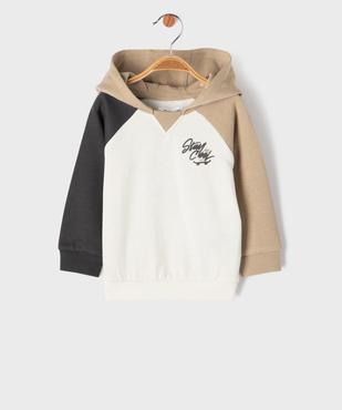 Sweat à capuche tricolore inscription skate bébé garçon vue1 - GEMO 4G BEBE - GEMO