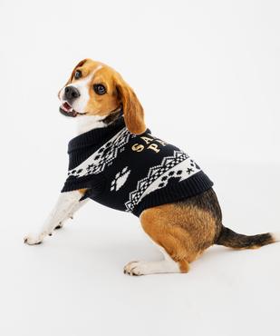 Pull de Noël pour chien vue1 - GEMO (ACCESS) - GEMO