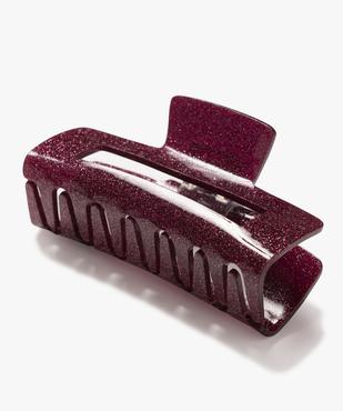 Pince crabe pour les cheveux à paillettes femme vue2 - GEMO (ACCESS) - GEMO