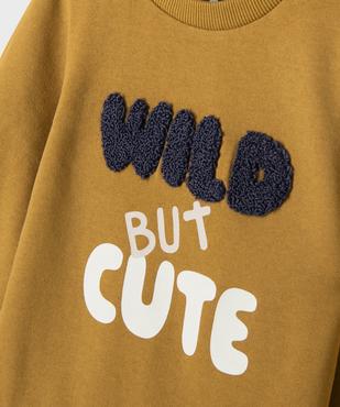 Sweat avec motif lion bébé garçon vue2 - GEMO 4G BEBE - GEMO