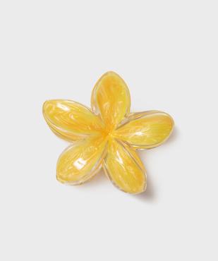 Pince à cheveux crabe en forme de fleur vue1 - GEMO (ACCESS) - GEMO