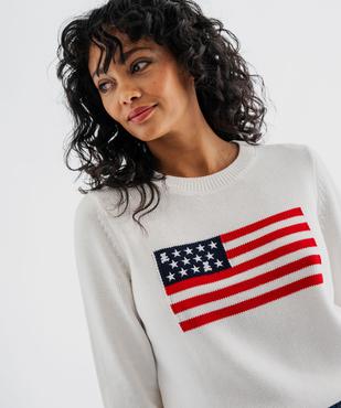 Pull en coton avec drapeau femme - LuluCastagnette vue2 - LULUCASTAGNETTE - GEMO