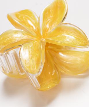 Pince à cheveux crabe en forme de fleur vue2 - GEMO (ACCESS) - GEMO