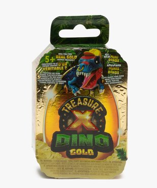 Treasure Dino Gold vue1 - AUTRES MARQUES - GEMO