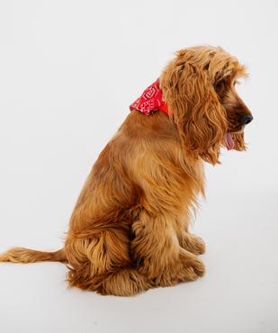 Bandana ajustable pour chien vue3 - GEMO (ACCESS) - GEMO