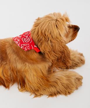 Bandana ajustable pour chien vue4 - GEMO (ACCESS) - GEMO