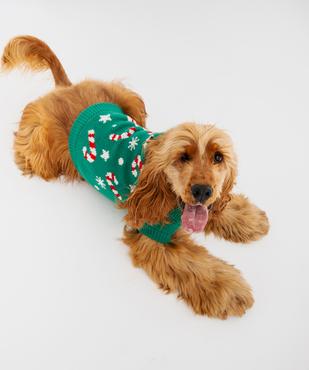 Pull tricot Noël pour chien vue4 - GEMO (ACCESS) - GEMO