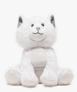 Peluche bouillotte chat à chauffer au micro-ondes vue2 - AUTRES MARQUES - GEMO