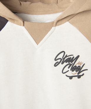 Sweat à capuche tricolore inscription skate bébé garçon vue3 - GEMO 4G BEBE - GEMO