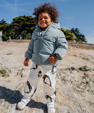 Ensemble2 pièces jogging + sweat chauds imprimés bébé garçon vue5 - GEMO(BEBE DEBT) - GEMO