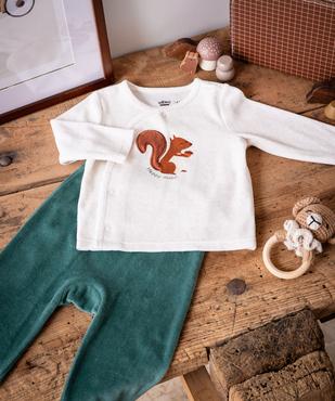 Pyjama 2 pièces en velours avec motif écureuil bébé vue5 - GEMO 4G BEBE - GEMO