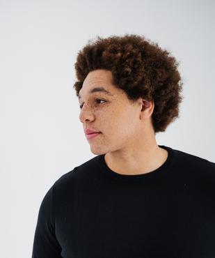 Pull en coton en maille fine à col rond homme  vue5 - GEMO (HOMME) - GEMO