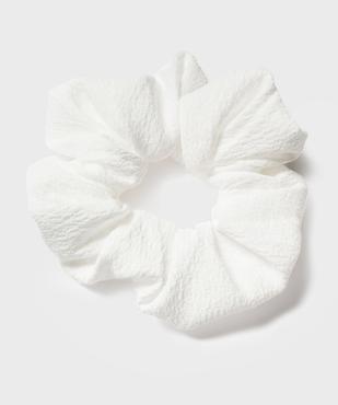 Chouchou pour les cheveux uni vue1 - GEMO (ACCESS) - GEMO