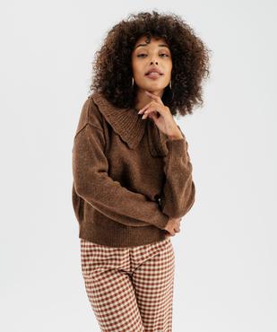 Pull à grand col fantaisie ajouré femme vue1 - GEMO(FEMME PAP) - GEMO