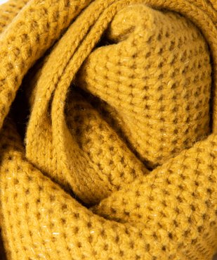 Echarpe femme en maille fantaisie avec fil Lurex vue3 - GEMO (ACCESS) - GEMO